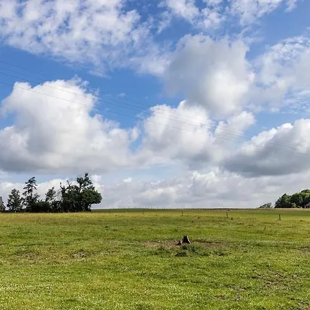 Les Annees Platine- *